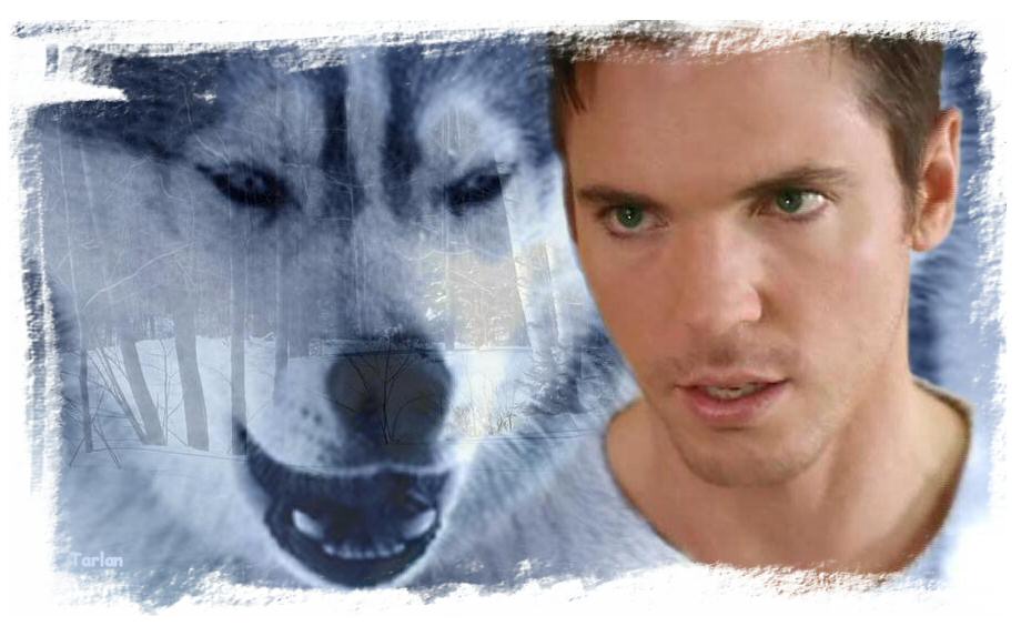 Nick Lea - Wolf by Tarlan
Keywords: candid_art