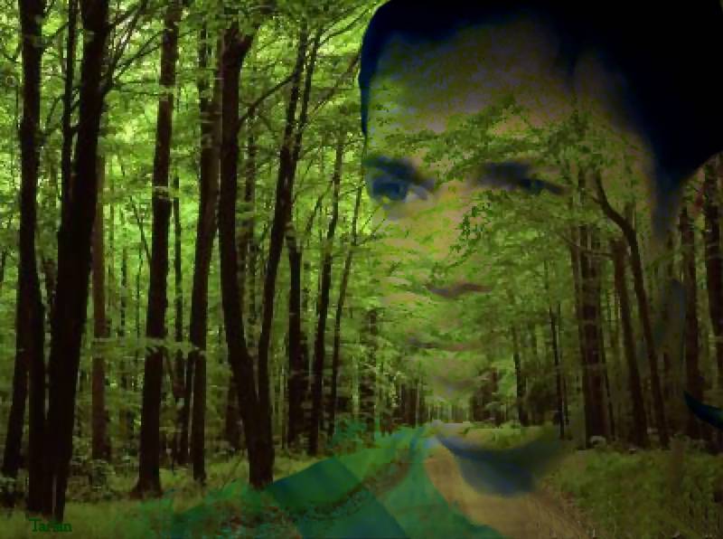 Nick Lea - Forest by Tarlan
Keywords: candid_art